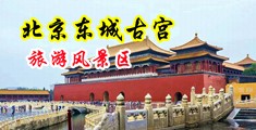 又粗又硬的大鸡巴操的我好舒服视频中国北京-东城古宫旅游风景区